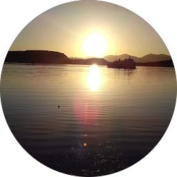 amer scove profile picture